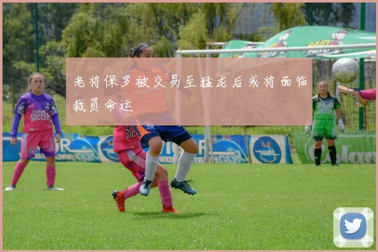 老将保罗被交易至猛龙后或将面临裁员命运