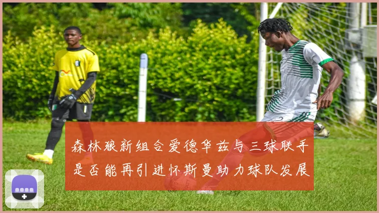 森林狼新组合爱德华兹与三球联手是否能再引进怀斯曼助力球队发展